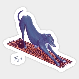 Downward Facing Greyhound Sticker